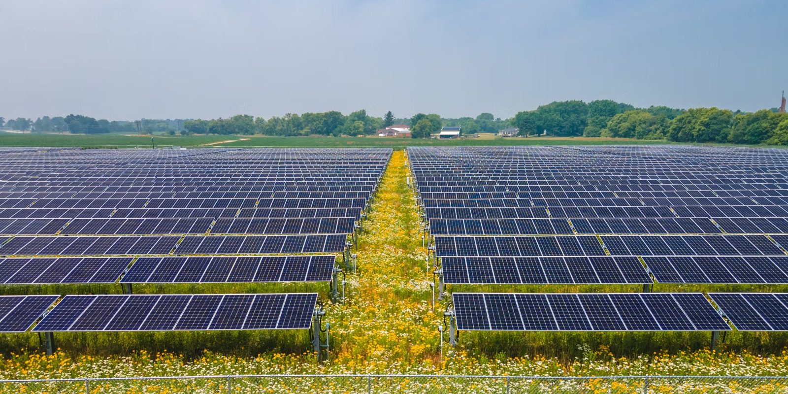Walmart Nexamp solar